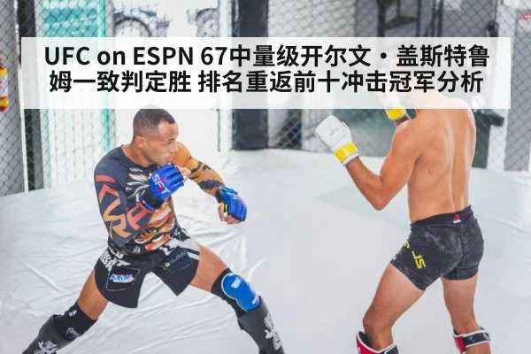 MMA fighter stance