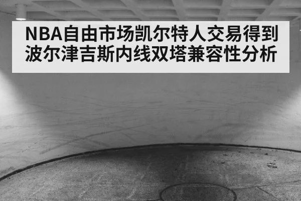 NBA自由市场凯尔特人交易得到波尔津吉斯内线双塔兼容性分析