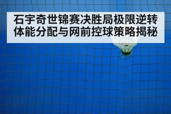 badminton net shot
